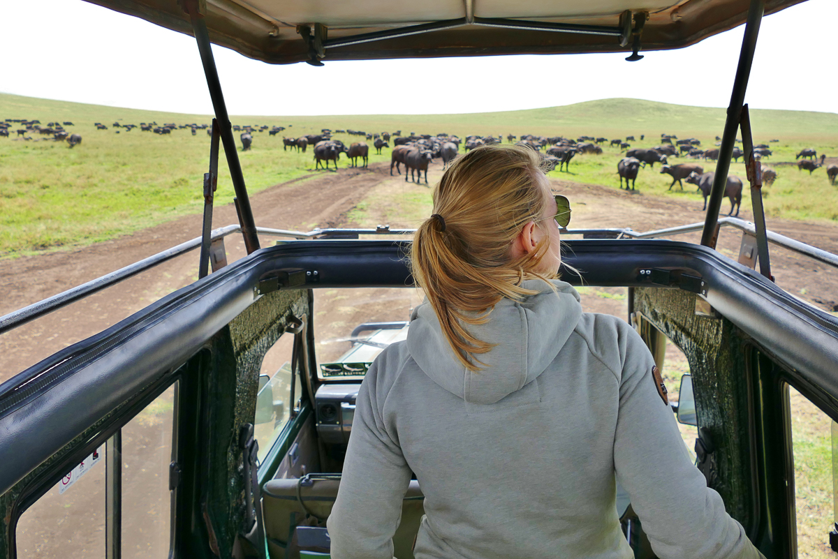 Dank Popup Dach immer perfekte Sicht auf Safari in Tansania