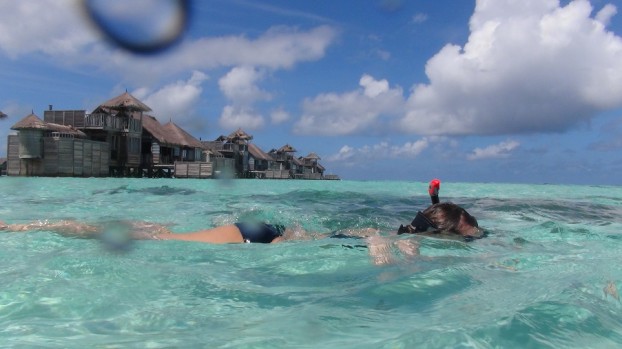 Schnorcheln Malediven - Korallen Gili Lankanfushi ex Soneva Gili Resort