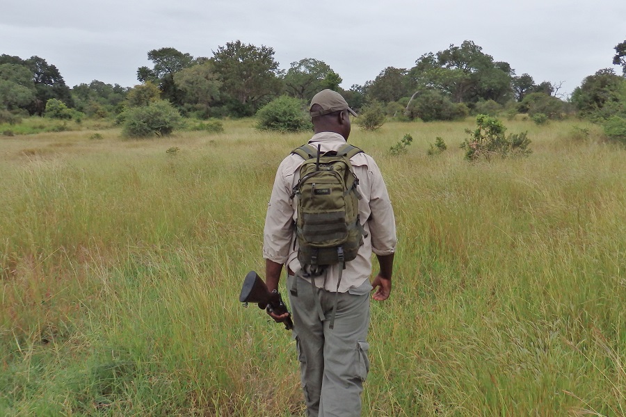 Bush Walk Safari in Südafrika“ class=