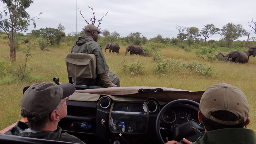 George hält die Stellung, eine Herde Elefanten passiert unser Safari-Fahrzeug“ class=