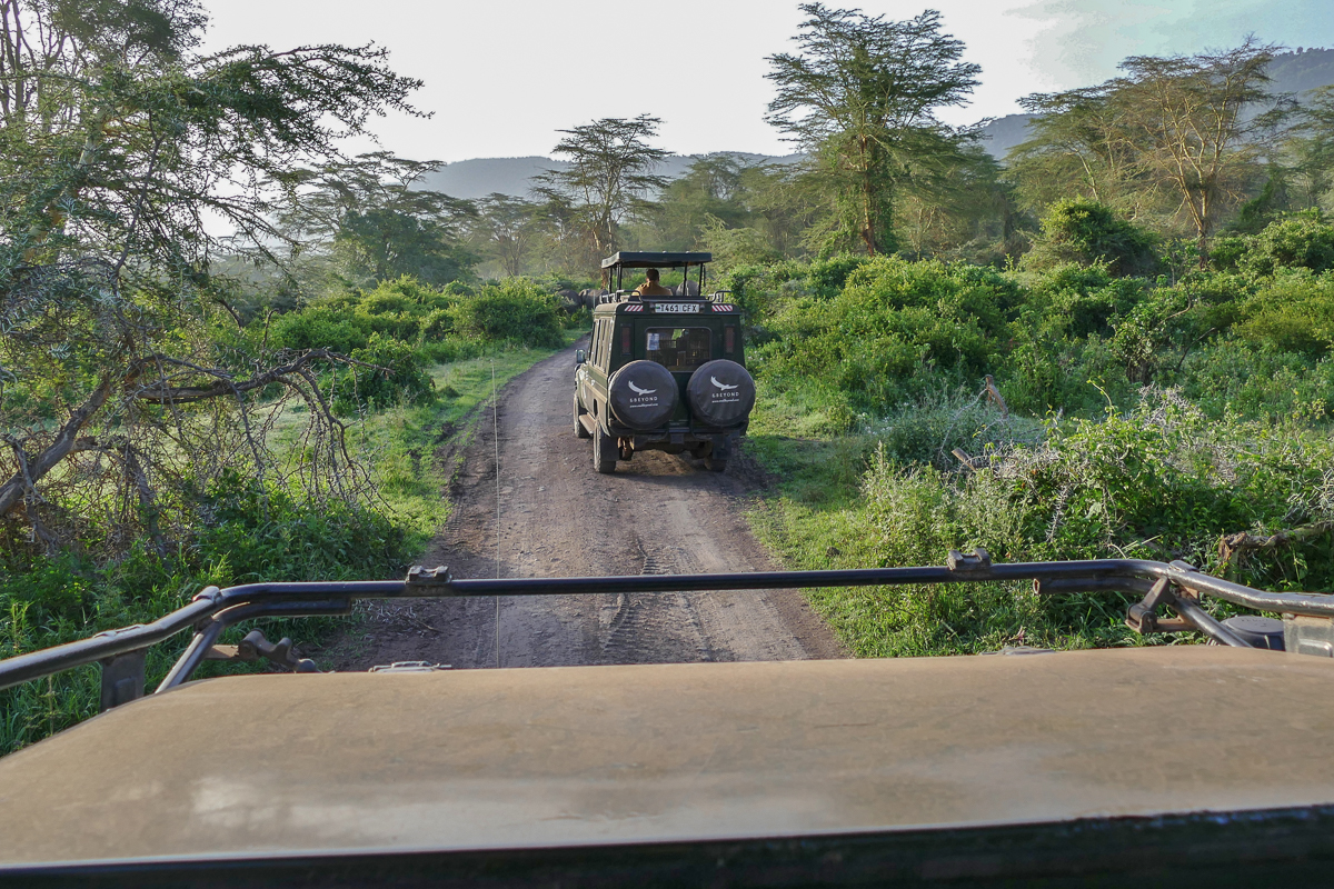 Safari mit andBeyond im Ngorongoro Krater“ srcset=