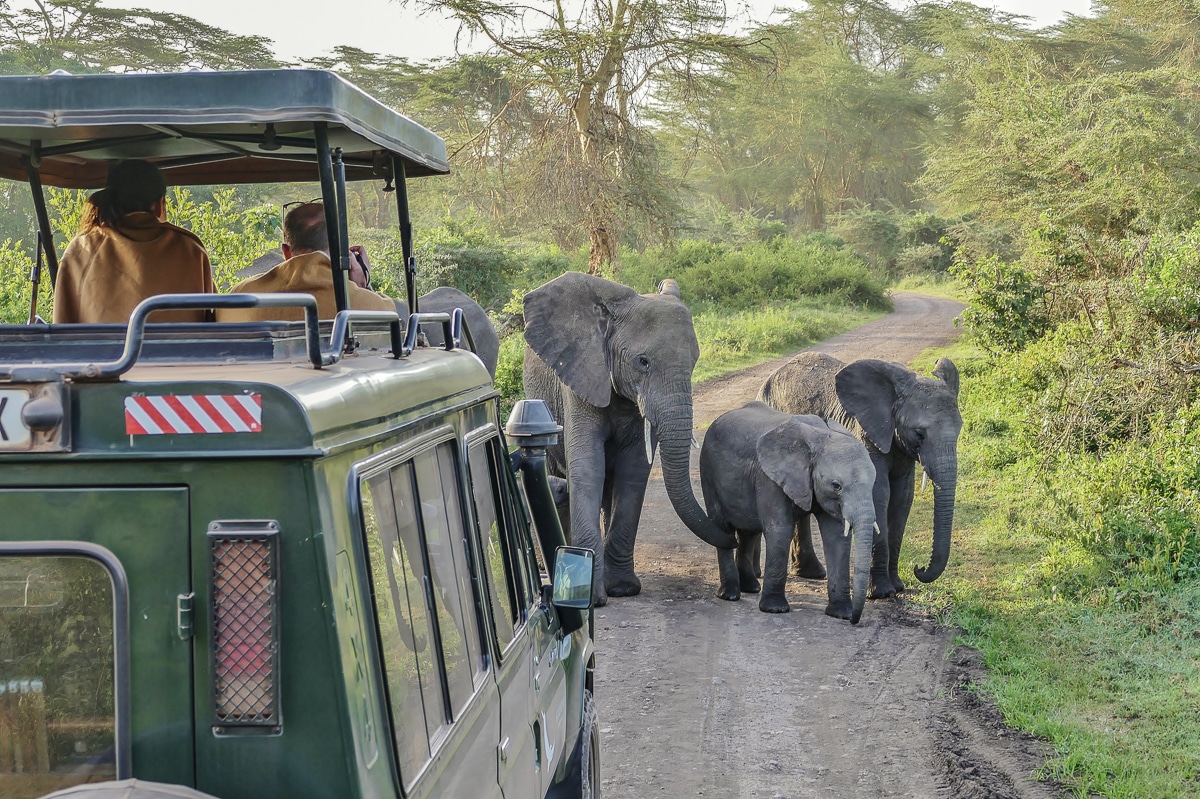 Tansania: Lohnt sich eine Safari im Ngorongoro Krater?