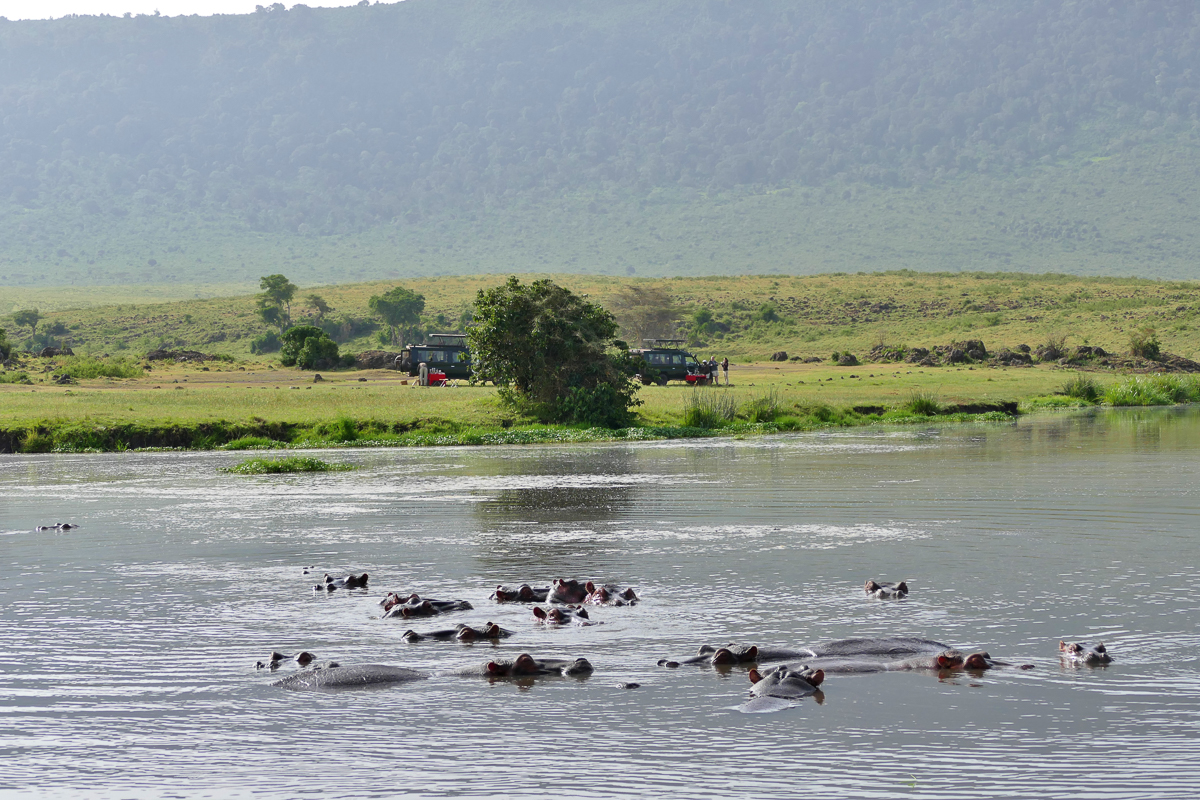 Picknick am Hippo Pool Ngorongoro Krater“ srcset=