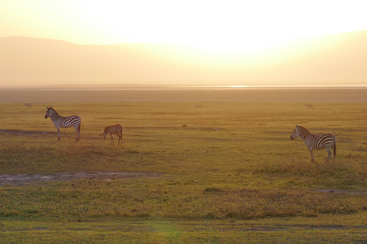 Sonnenaufgang im Ngorongoro Krater Tansania“ srcset=