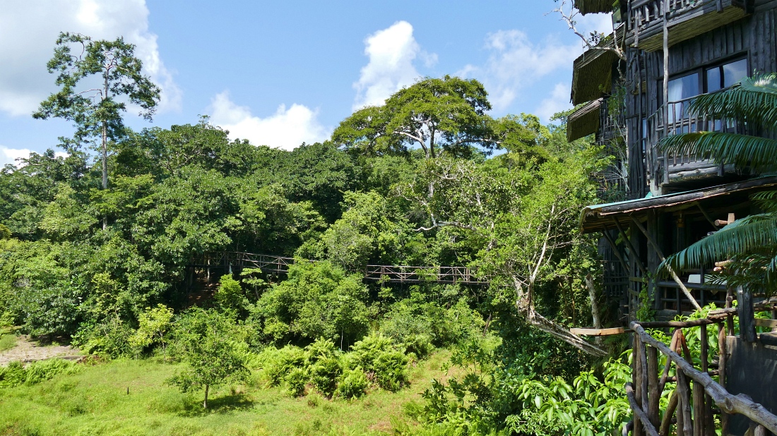 Shimba Hills Lodge in einem der weltweit letzten Küstenregenwälder“ srcset=