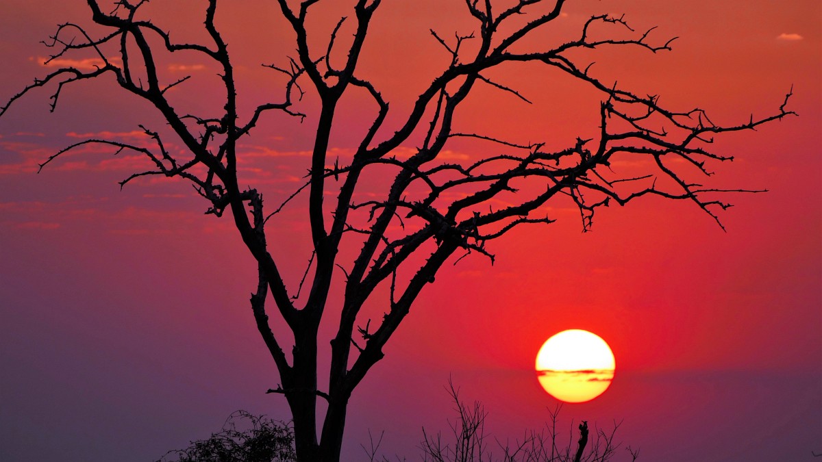 Chobe Sunset: Sonnenuntergang am Chobe Fluss