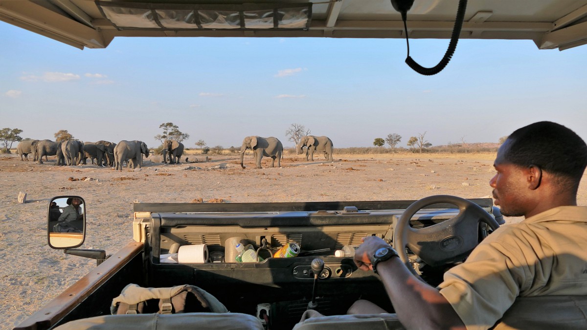 Game Drive mit Shabba von Bushways Safaris