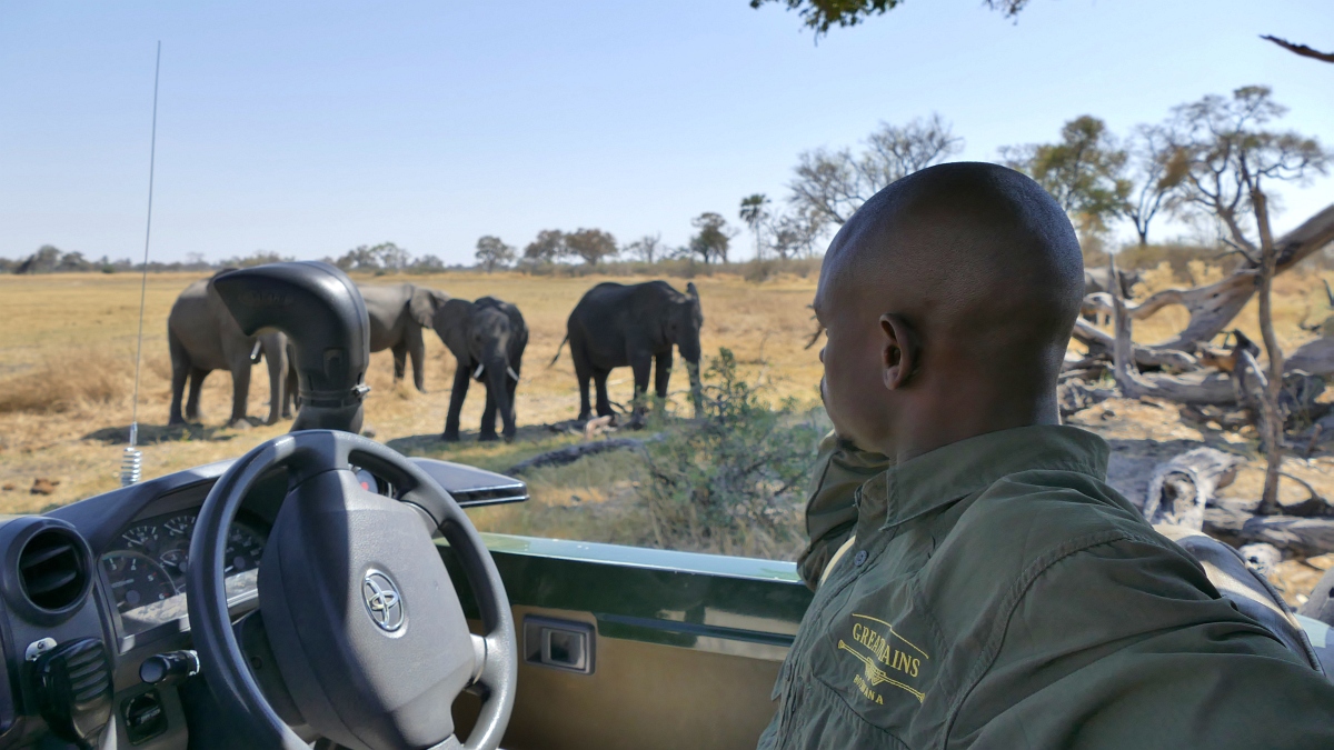 Selinda Camp Reserve Botswana Elefanten